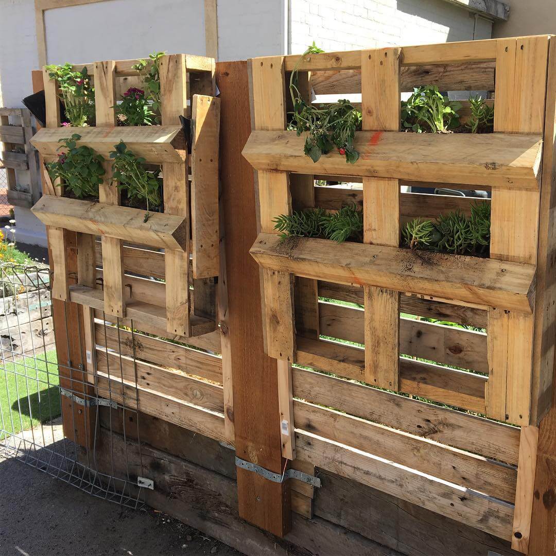 Vertical Wooden Pallets Vegetable Garde