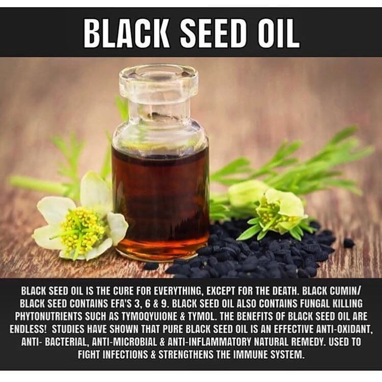 Black Seed Oil Is Rocket Fuel For Hair Growth - Sensod