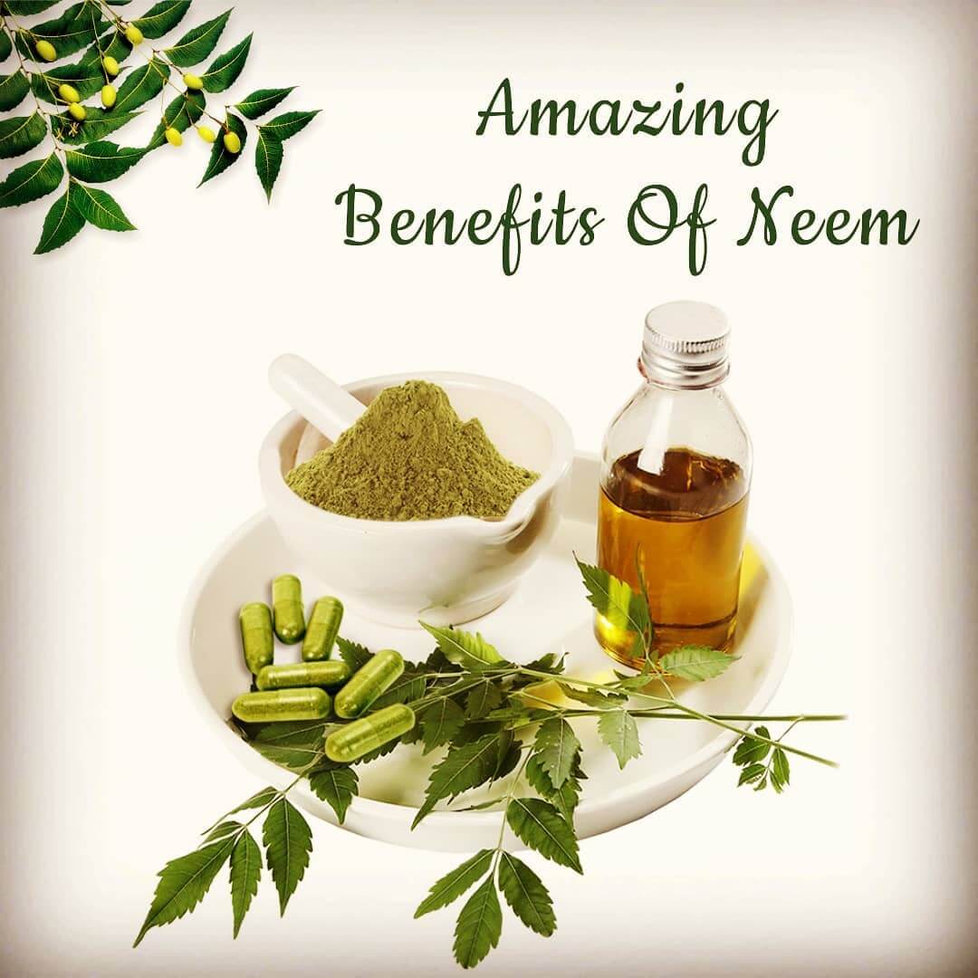 benefits of neem oil for hair growth