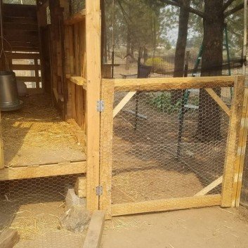 building a pallet chicken coop for free