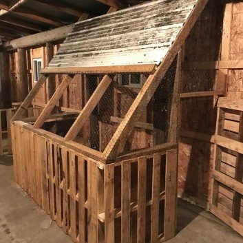 a frame chicken coop from pallets