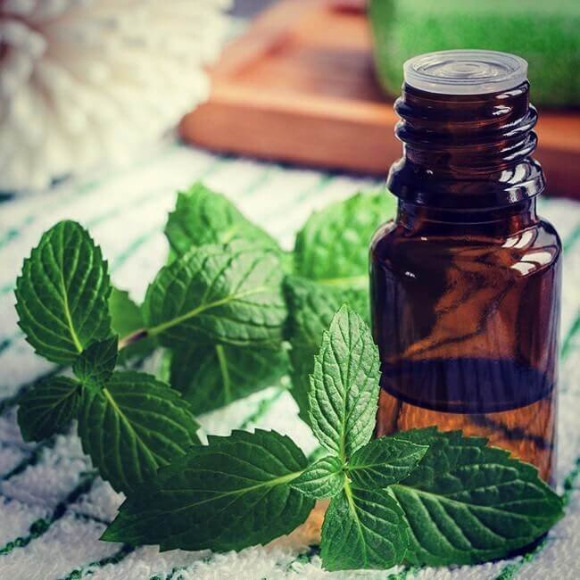 Why choosing Peppermint Oil for Hair Growth