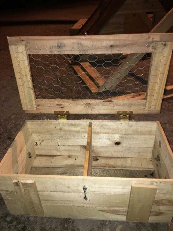 20 Free Pallet Chicken Coop Projects Ideas