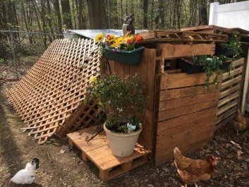 pallet chicken coop design ideas
